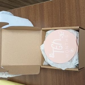 Pink Maternity Marker Photo Placards NIB